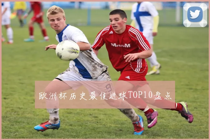 欧洲杯历史最佳进球TOP10盘点