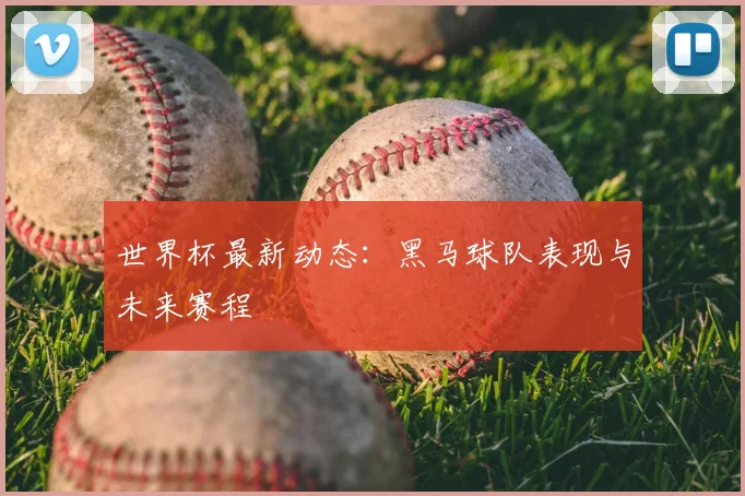世界杯最新动态：黑马球队表现与未来赛程