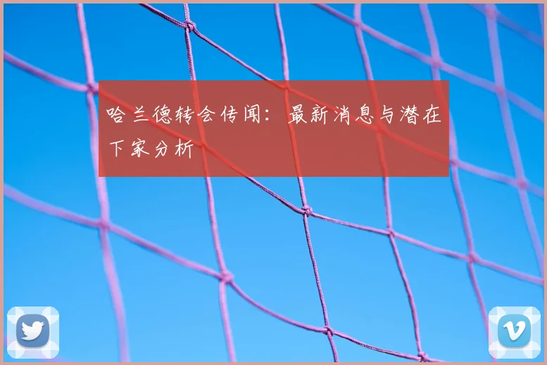 哈兰德转会传闻:最新消息与潜在下家分析