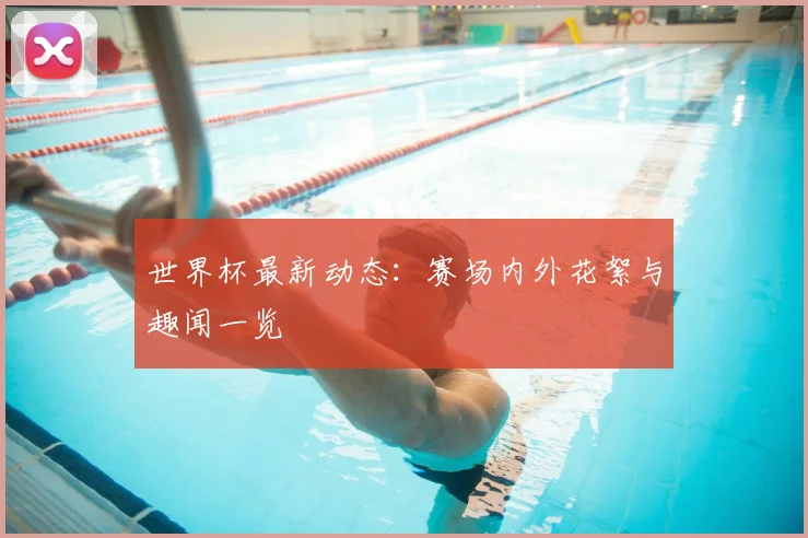 世界杯最新动态：赛场内外花絮与趣闻一览